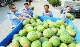 临沧网红吃瓜群微信,揭秘网络社交圈的趣味与争议