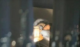 日本高清在线观看伦理,日本在线影视佳作精选